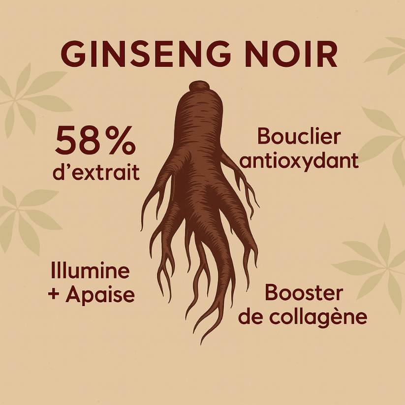Aivalya™ – Sérum : Liposome Rétinal 2 % + Ginseng Noir